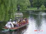 Here's a swan boat on tour.  Note the eco friendly propulsion system. 