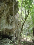 Large limestone rock formations in the jungle.