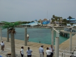 The other side of the main dolphin enclosure.  To the far right is the round shark pen.
