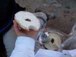Great dinners at Phantom Ranch, but the sack lunches were terrible - the plain white bagel tasted like cardboard.