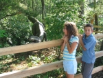 lots of life-size dinosaurs were spotted along the trail