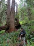Redwoods084.jpg