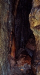 Cave bacon.