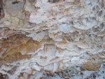 95% of the world's supply of boxwork cave crystals are in Wind Cave.