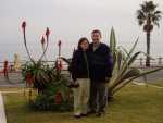 The cacti in bloom.  This is probably our Christmas picture this year.